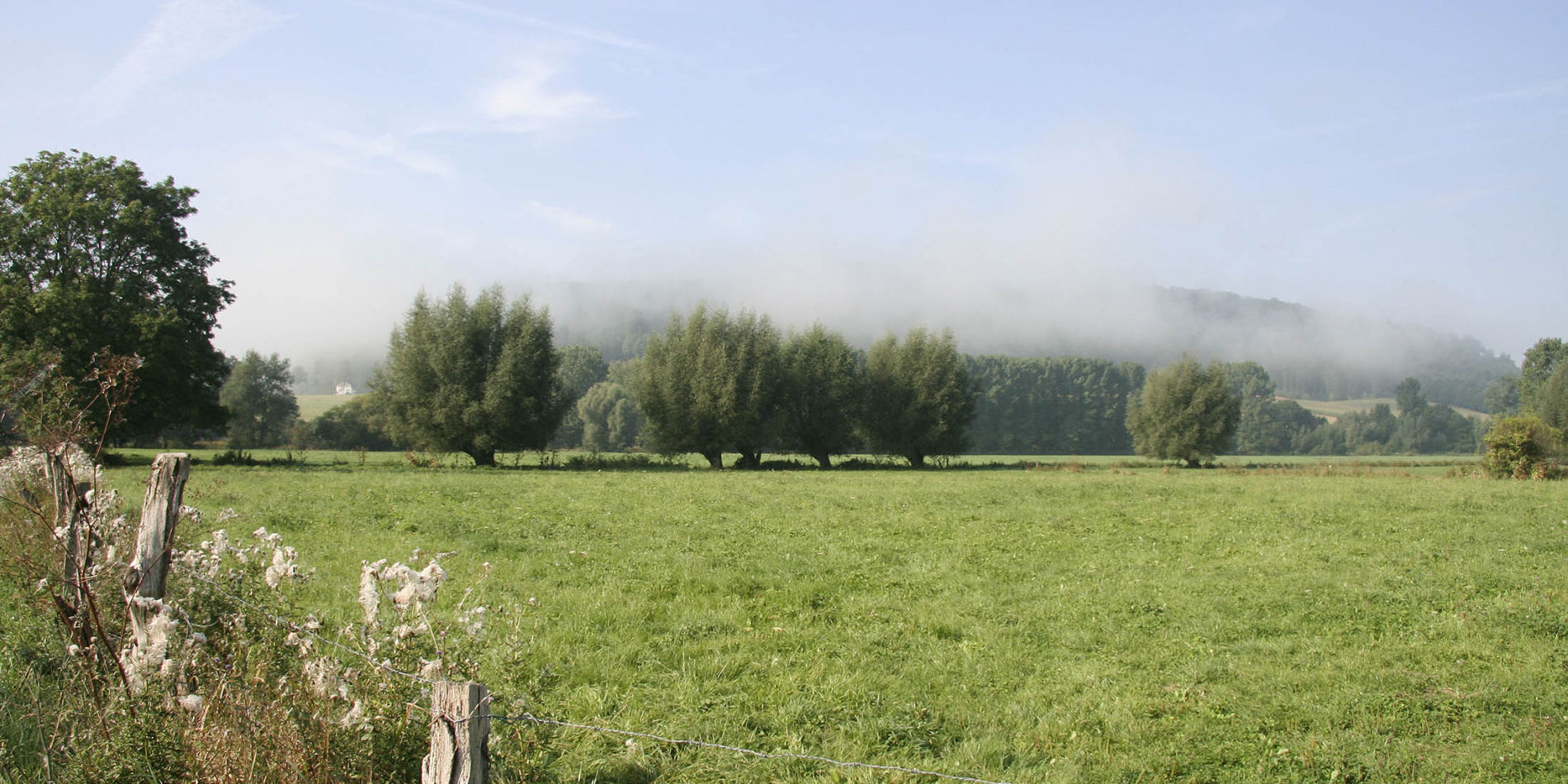 L 924 Feller Straße